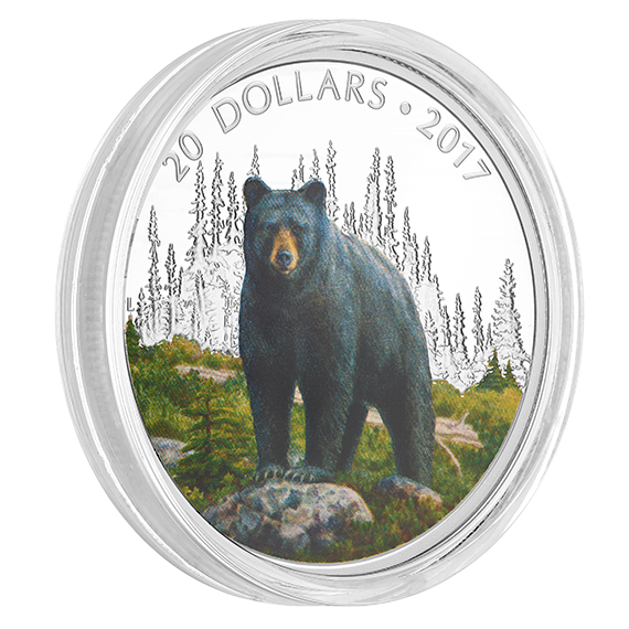 1 oz. Pure Silver Coloured Coin – Majestic Animals: The Bold Black Bear – Mintage: 6,500 (2017)