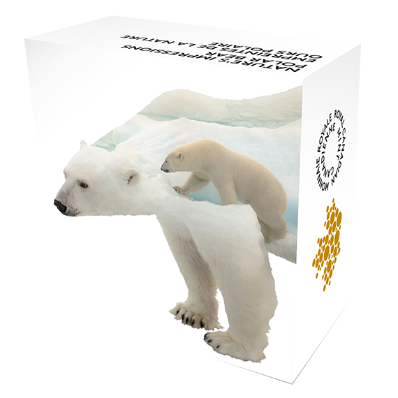 1 oz. Pure Silver Coin – Paw Prints on the Edge: Polar Bear