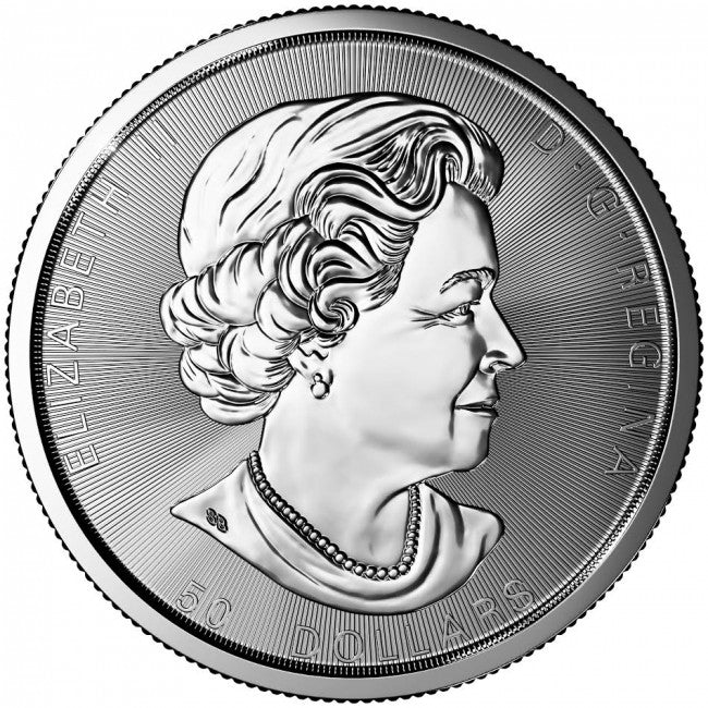 10 OZ Royal Canadian Mint Silver Coin