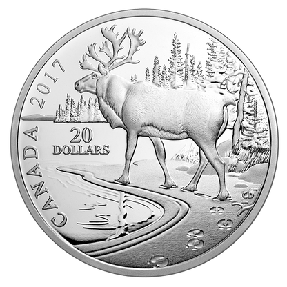 1 oz. Pure Silver Coin – Paw prints on the Edge: Woodland Caribou