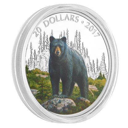 1 oz. Pure Silver Coloured Coin – Majestic Animals: The Bold Black Bear – Mintage: 6,500 (2017)
