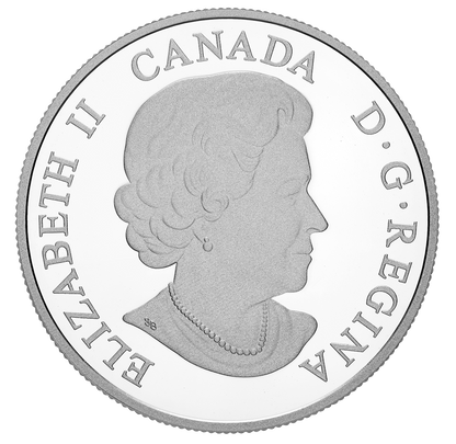 1 oz. Pure Silver Coloured Coin – Majestic Animals: The Bold Black Bear – Mintage: 6,500 (2017)