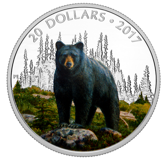1 oz. Pure Silver Coloured Coin – Majestic Animals: The Bold Black Bear – Mintage: 6,500 (2017)