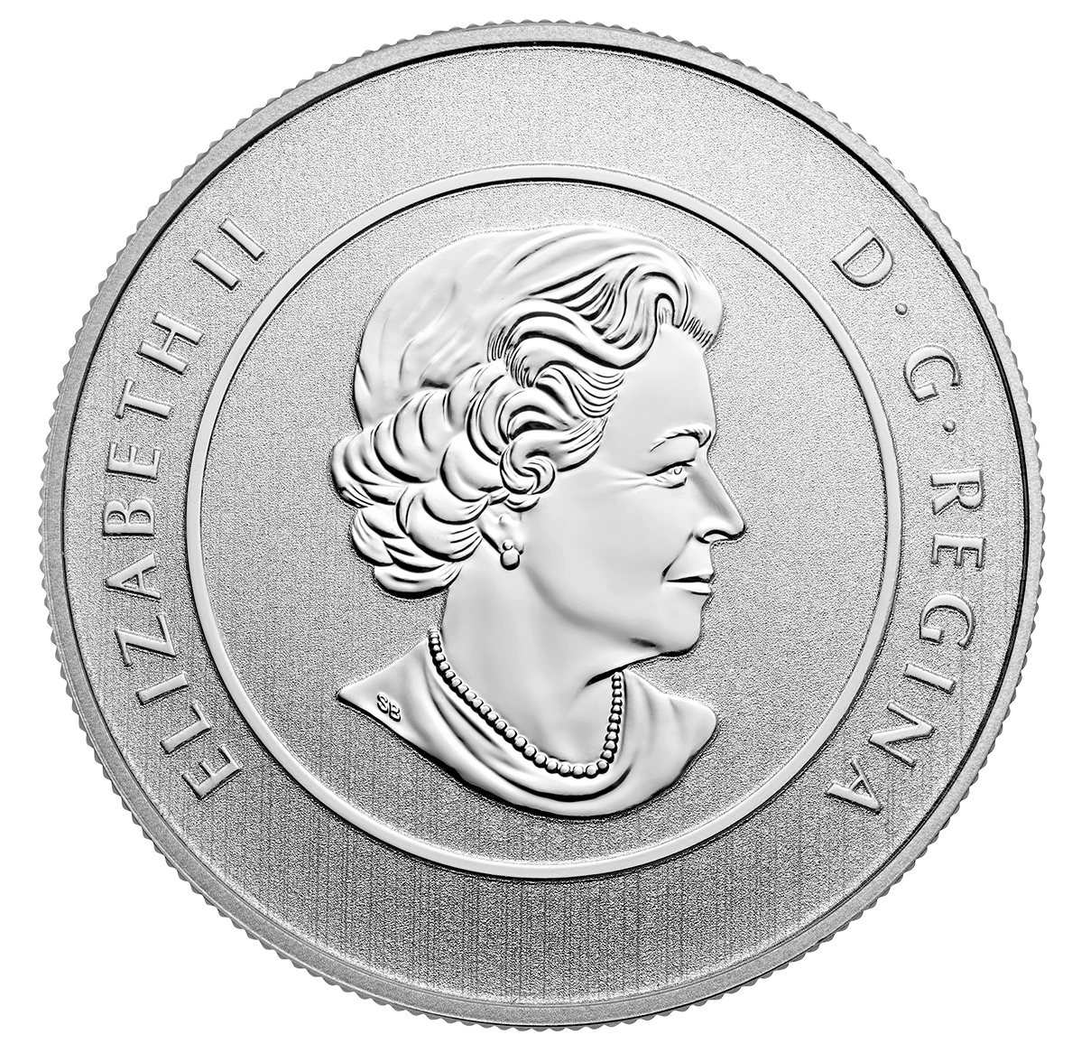 1/4 oz 2016 True North Fine Silver Coin