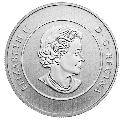 1/4 oz 2016 True North Fine Silver Coin