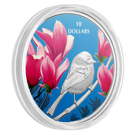 1/2 oz. Pure Silver Coloured Coin - Birds Among Nature's Colours: Chickadee