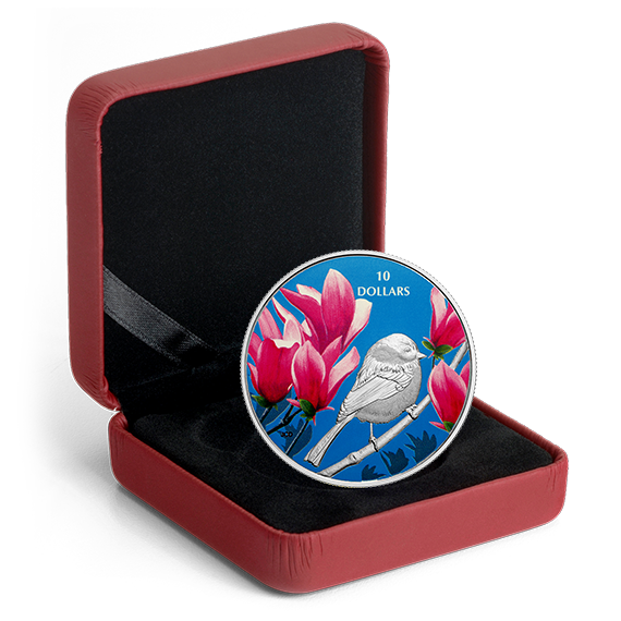 1/2 oz. Pure Silver Coloured Coin - Birds Among Nature's Colours: Chickadee