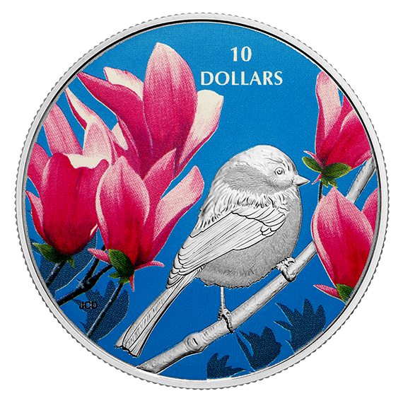 1/2 oz. Pure Silver Coloured Coin - Birds Among Nature's Colours: Chickadee