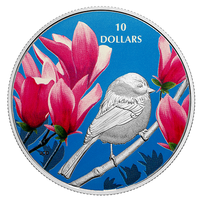 1/2 oz. Pure Silver Coloured Coin - Birds Among Nature's Colours: Chickadee