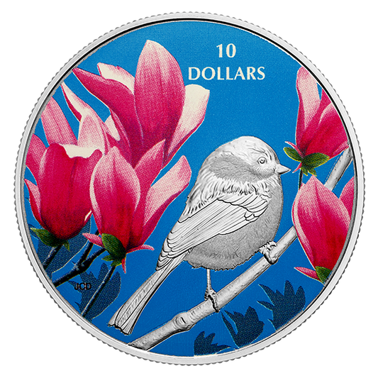 1/2 oz. Pure Silver Coloured Coin - Birds Among Nature's Colours: Chickadee