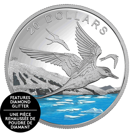 1 oz. Pure Silver Coloured Coin – Glistening North: Arctic Tern