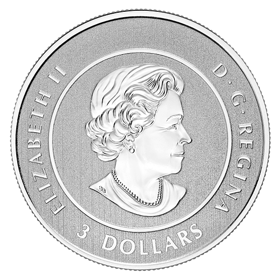 Pure Silver Coin – Heart of Our Nation (2017)