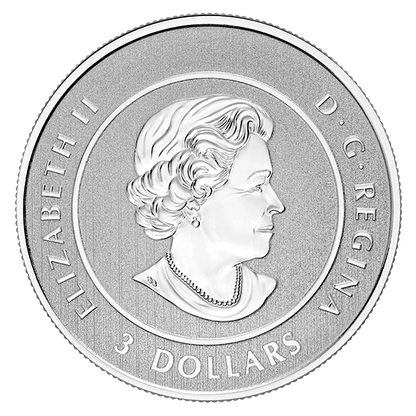 Pure Silver Coin – Heart of Our Nation (2017)