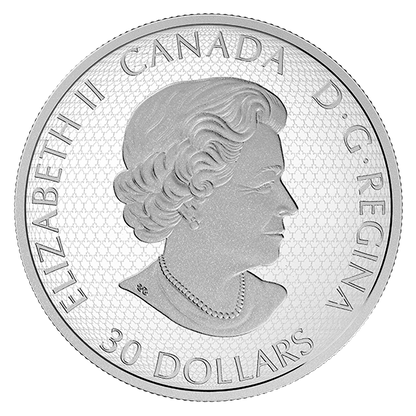 Star Trek™: Five Captains - 2 oz. Pure Silver Coloured Glow-in-the-Dark Coin